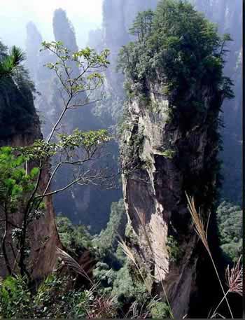長沙出發(fā)到張家界溶洞奇觀黃龍洞、國家森林公園、袁家界、峰林之王天子山三日游（早班）