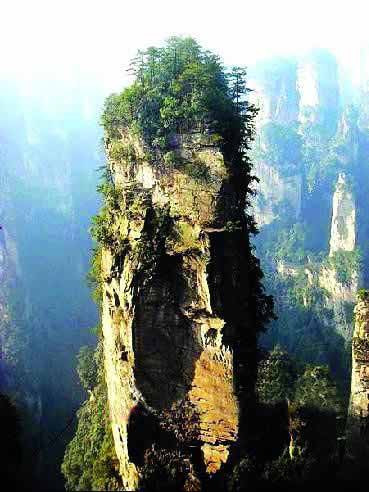 張家界國(guó)家地質(zhì)森林公園、黃石寨、金鞭溪休閑一日游