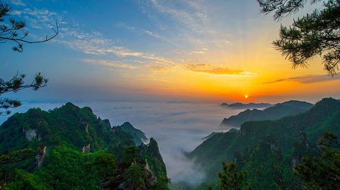 張家界森林公園（金鞭溪、袁家界、楊家界、天子山、十里畫廊）住山上2天1游（可看日出）